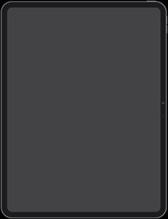 iPad Pro display